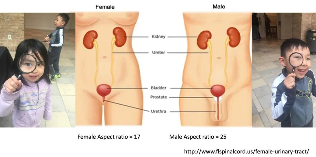 孩子膀胱容量130,儿童最大膀胱容量197正常吗