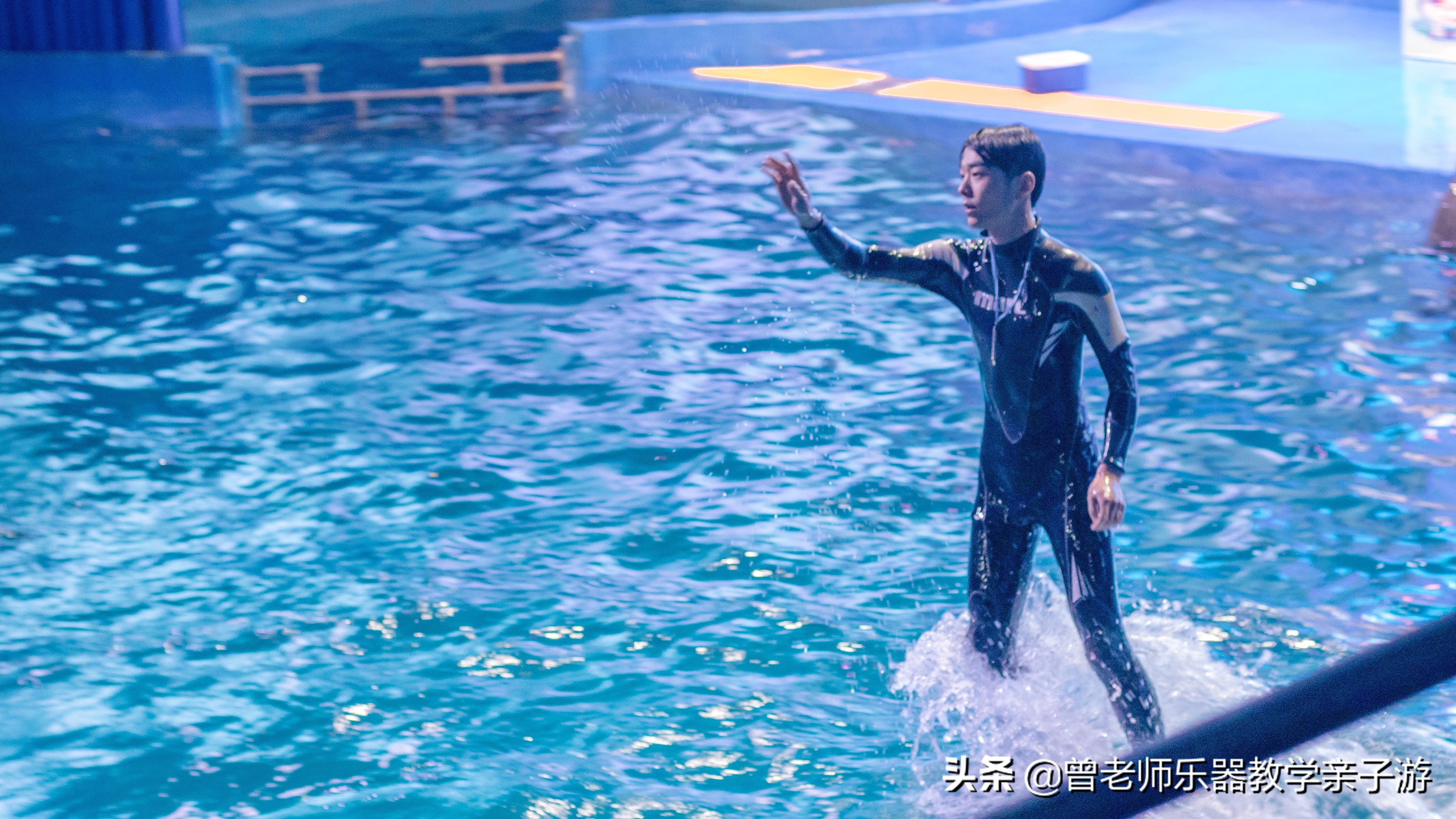 西安太奥海洋馆,西安极地海洋世界海豚表演