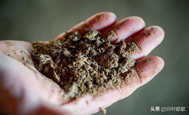 鸡粪正确施用方法,鸡粪怎样处理肥效更高