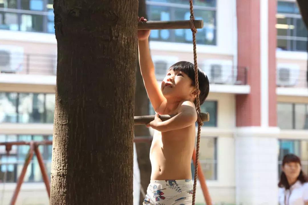 博实乐碧桂园国际学校学费多少,胡润百学国际学校2023全榜排名