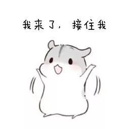 会python好找工作吗,会python还要学c语言吗