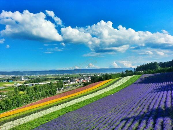 从东京到北海道坐船的费用,北海道旅游多少费用报团