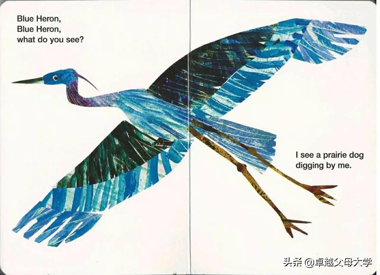 babybear英文绘本,babybearwhatdoyousee绘本