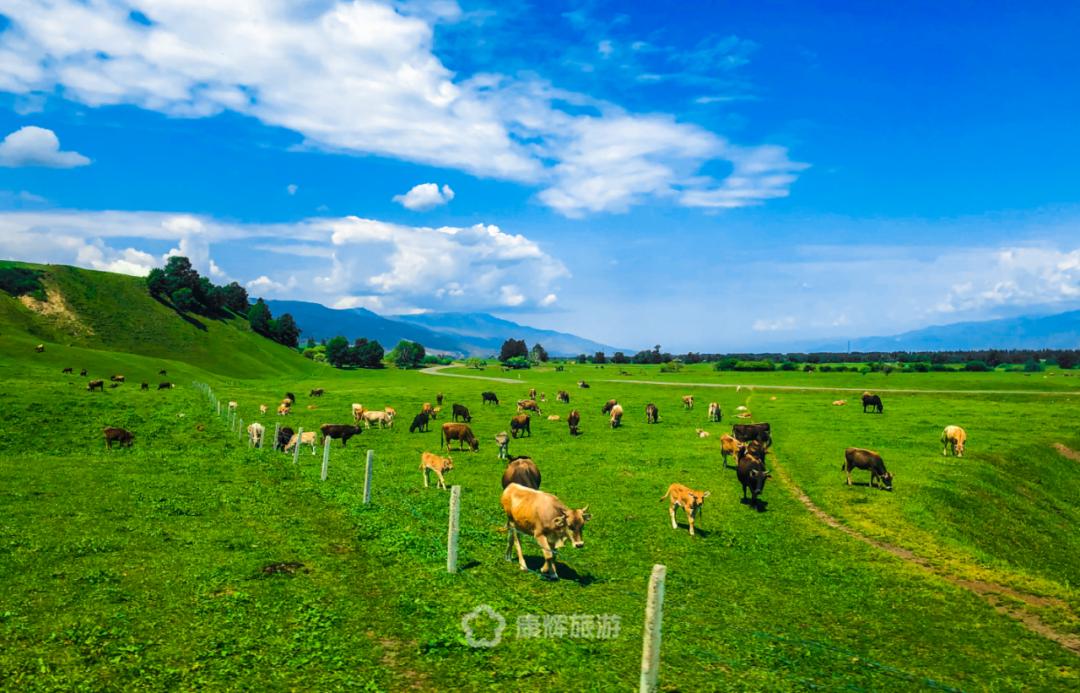 旅行中的故事讲述,旅行过程中的故事