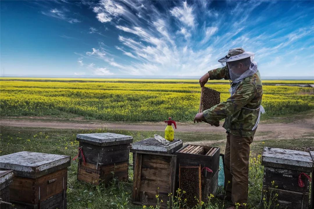 灌云有什么游玩的景点吗,灌云旅游景点推荐一日游