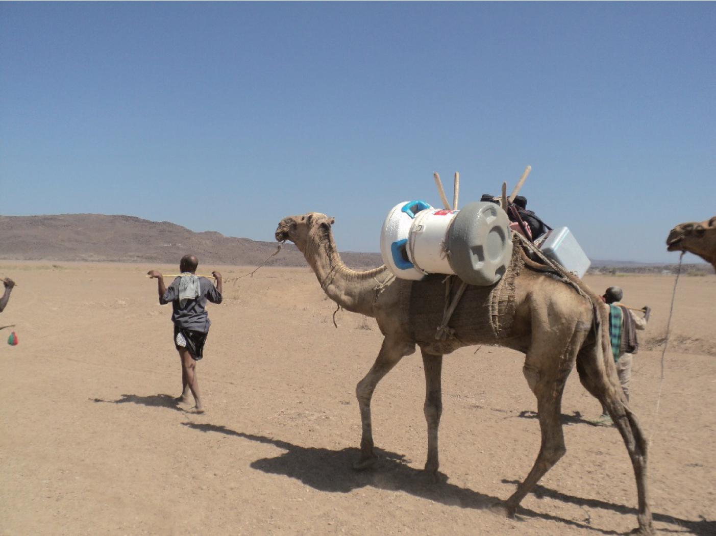 澳柯玛双门柜,澳柯玛获2020年中国好口碑品牌