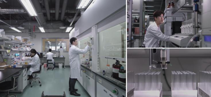 诶茵诶进入中国市场十三周年