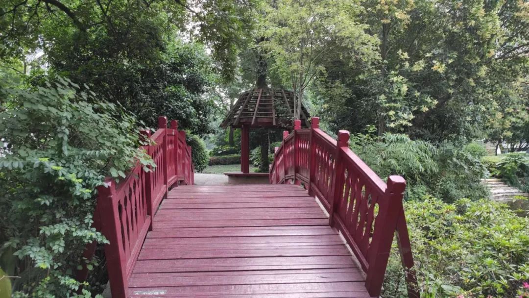 是谁给你的勇气原版视频,是谁给你的勇气歌曲