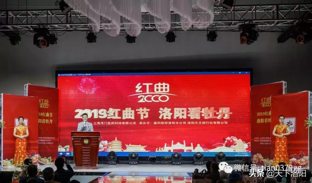 我的旅行社,厉害了我的旅游团