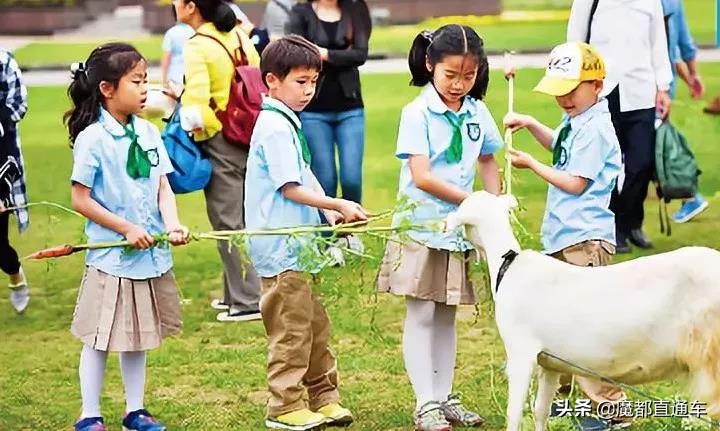 蓝精灵来袭！沪上遛娃宝典，暑期陪孩子玩个遍