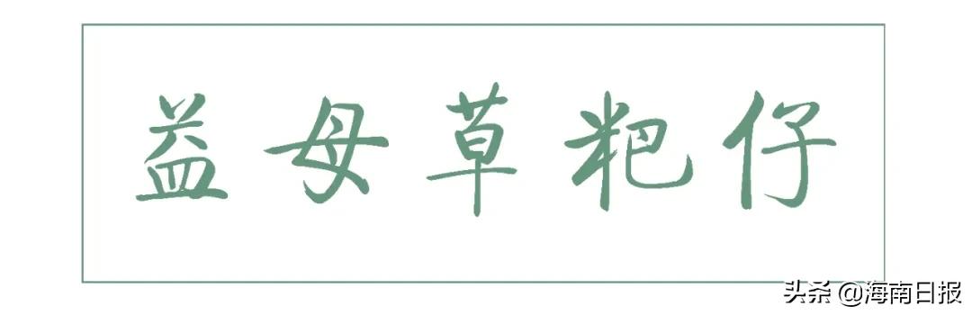 海南到底有多少种buǎ？恐怕连海南人自己都数不清……