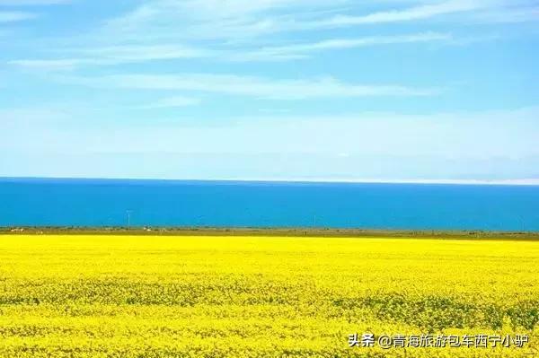 青海旅游注意事项,青海旅游注意事项儿童