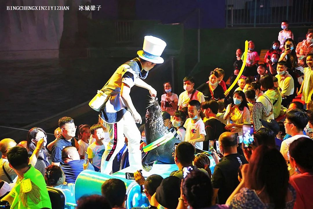 走进哈尔滨完整视频,走进哈尔滨海洋馆