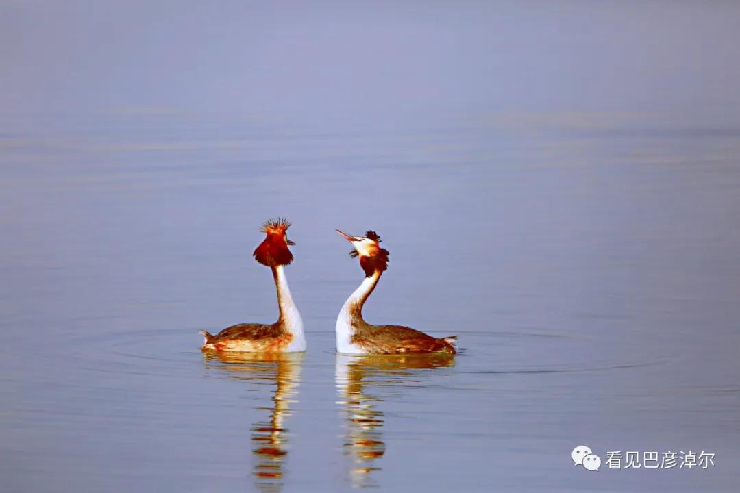 七分钟带你领略大美乌拉特前旗 (带你去看乌拉特前旗)