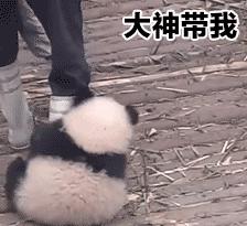 在美国读博要几年,在美国读博有收入吗