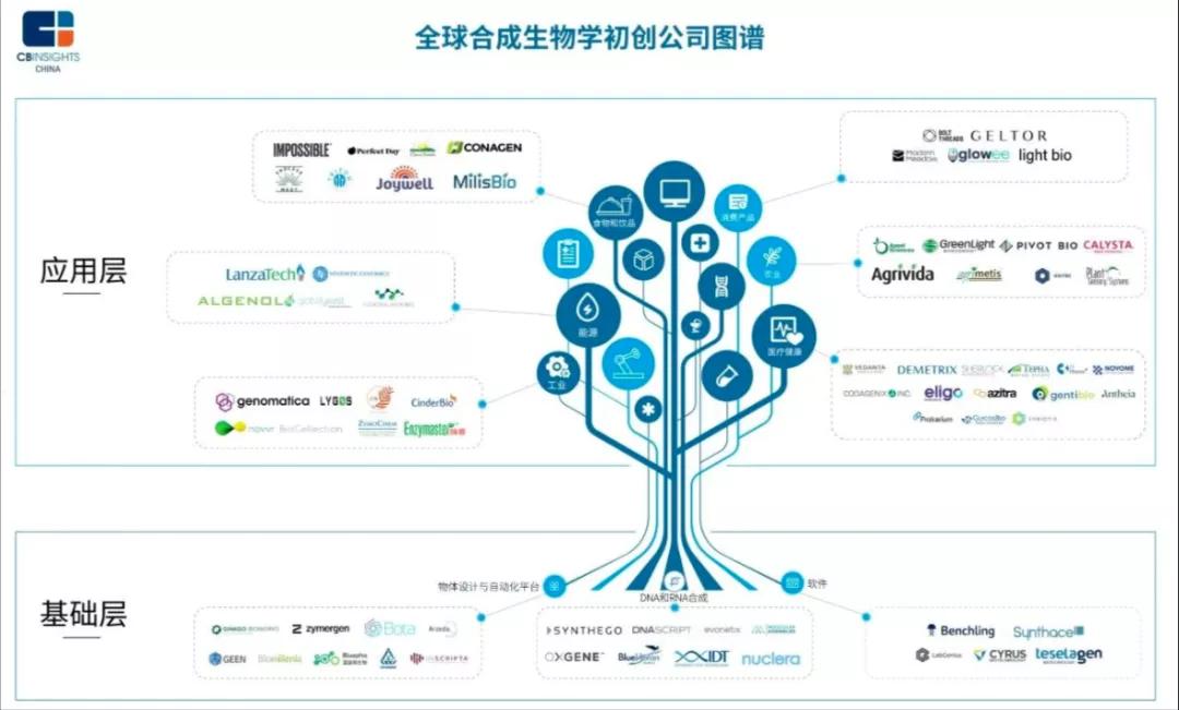 科学家妻子用自己的基因造出异形,科学家人造婴儿