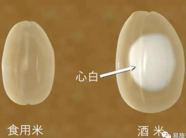 日本酒各种风格,日式酒有哪些