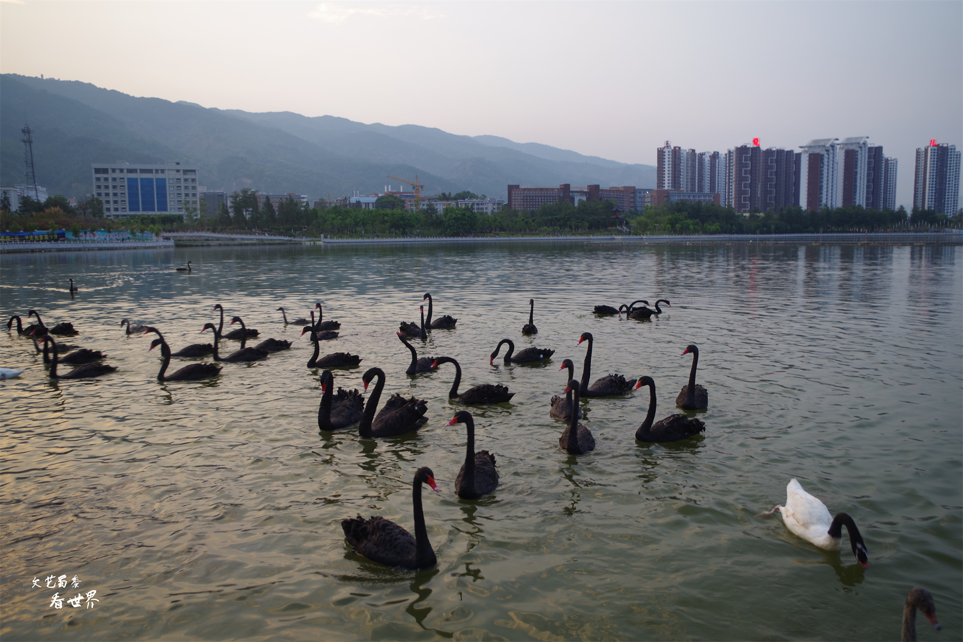 云南4个旅居养老小城,云南最适合居住养老的地方