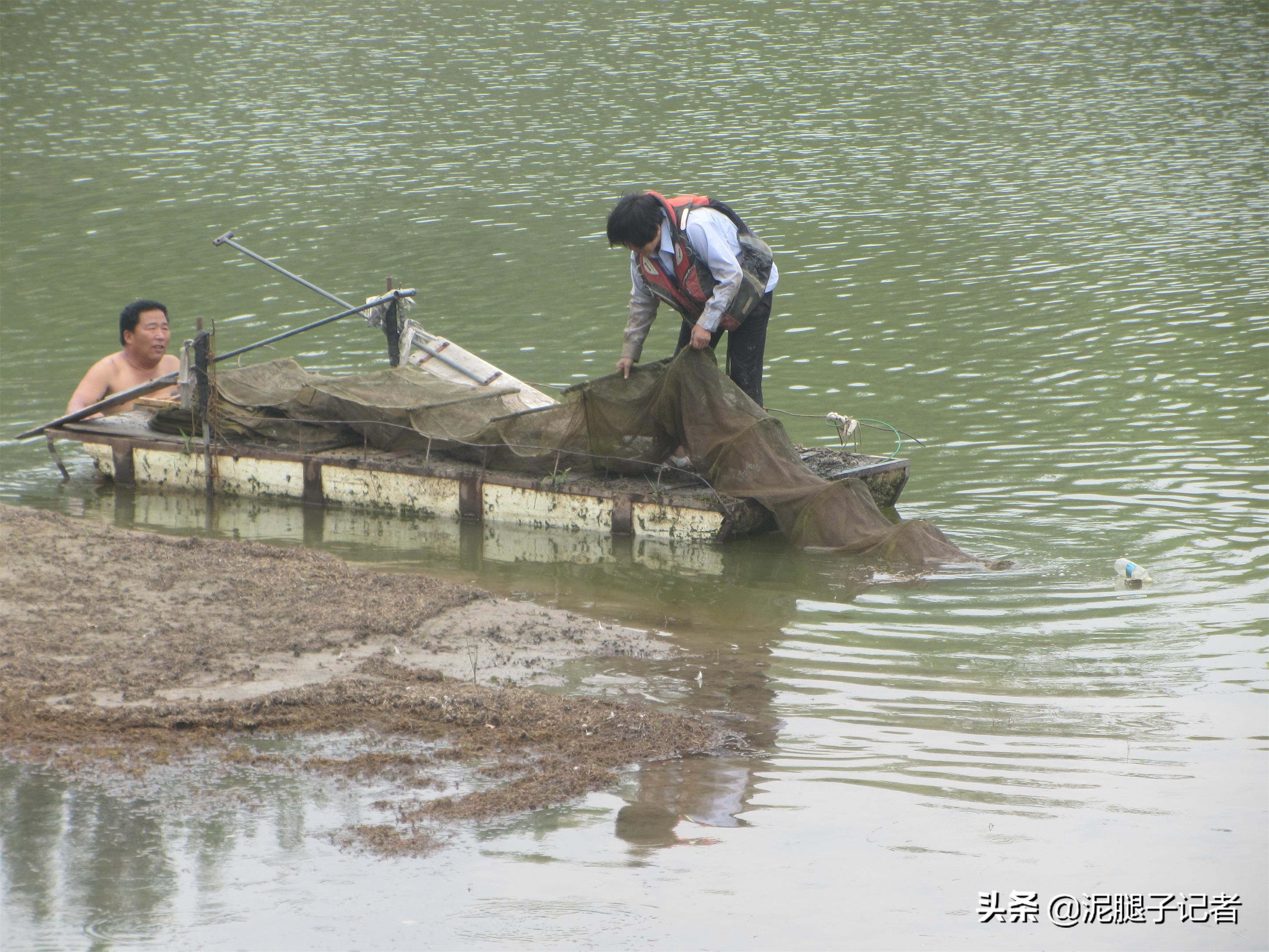 农村小伙捕鱼的真实经历,农村小伙捕鱼的神奇经历