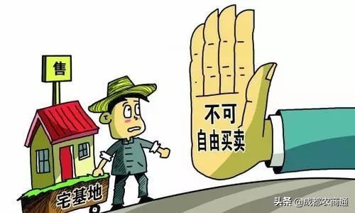 宅基证有假的怎么处理,宅基证为什么还没下来