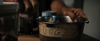 一部被低估的科幻电影末日,现在最火的末日片有哪些