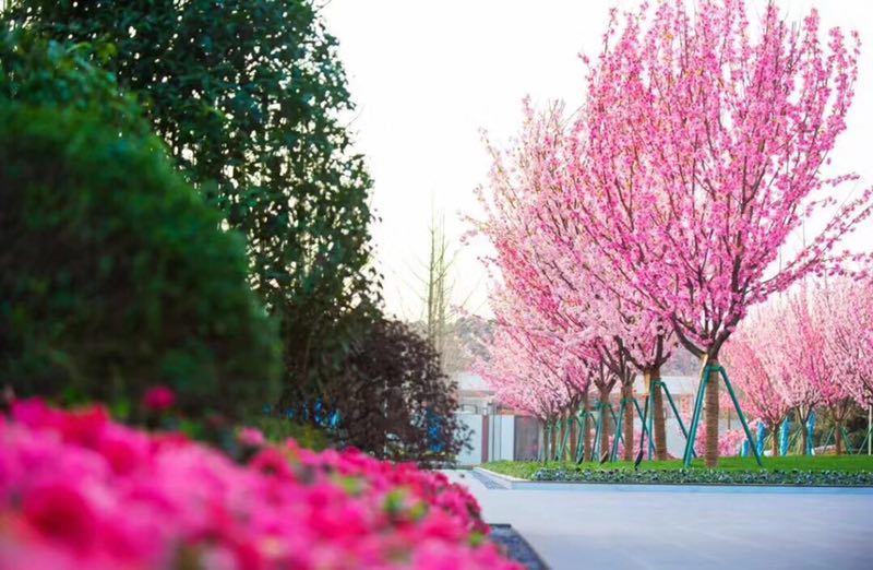 天誉誉府中叠设计,天誉誉府誉见生活