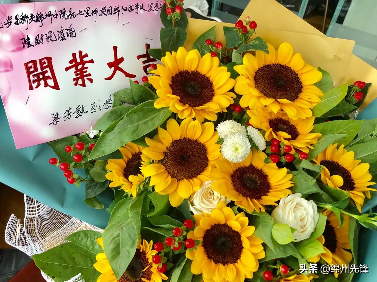 峨眉半山健康管理,峨眉半山七里坪视频