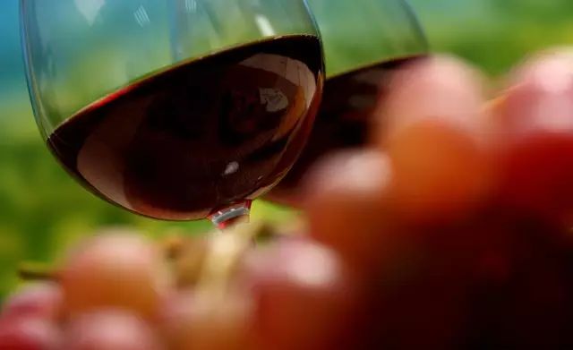 品红酒的基本步骤,品红酒的正确方法搞笑版