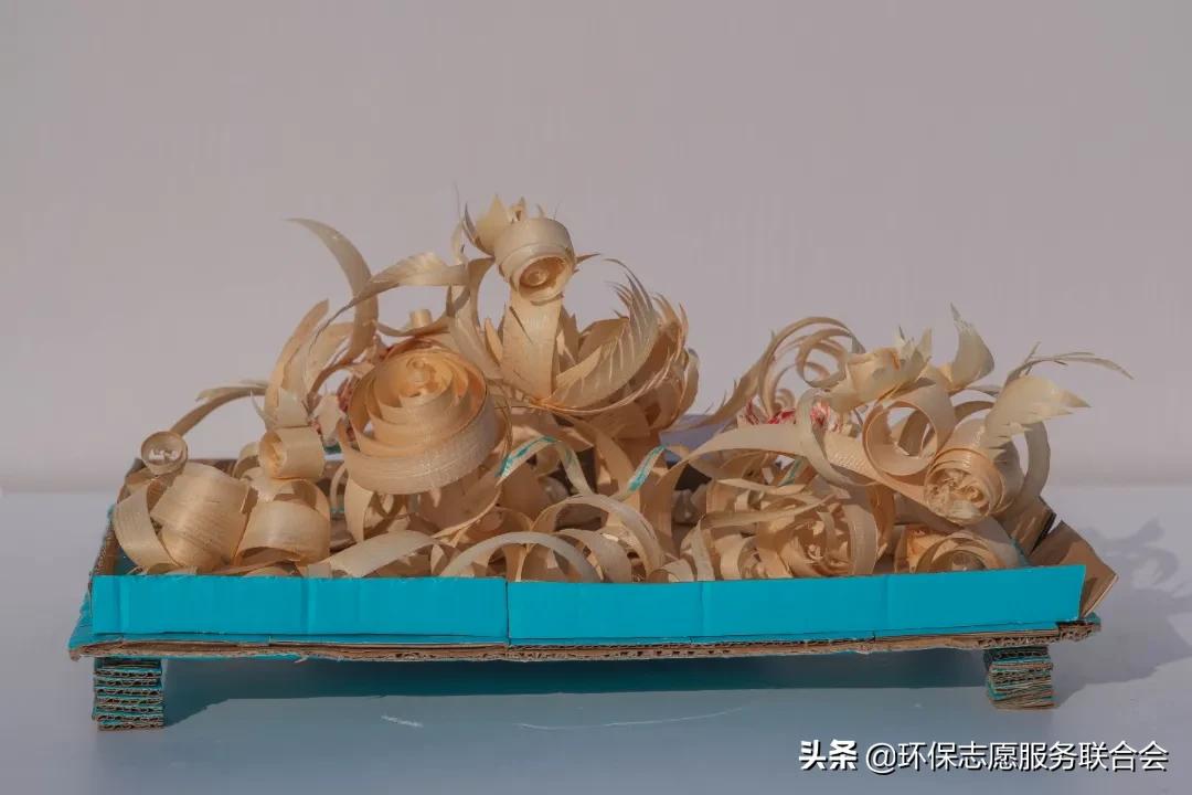 成都高校生态环境大联盟｜废旧物创意设计—四川国际标榜职业学院