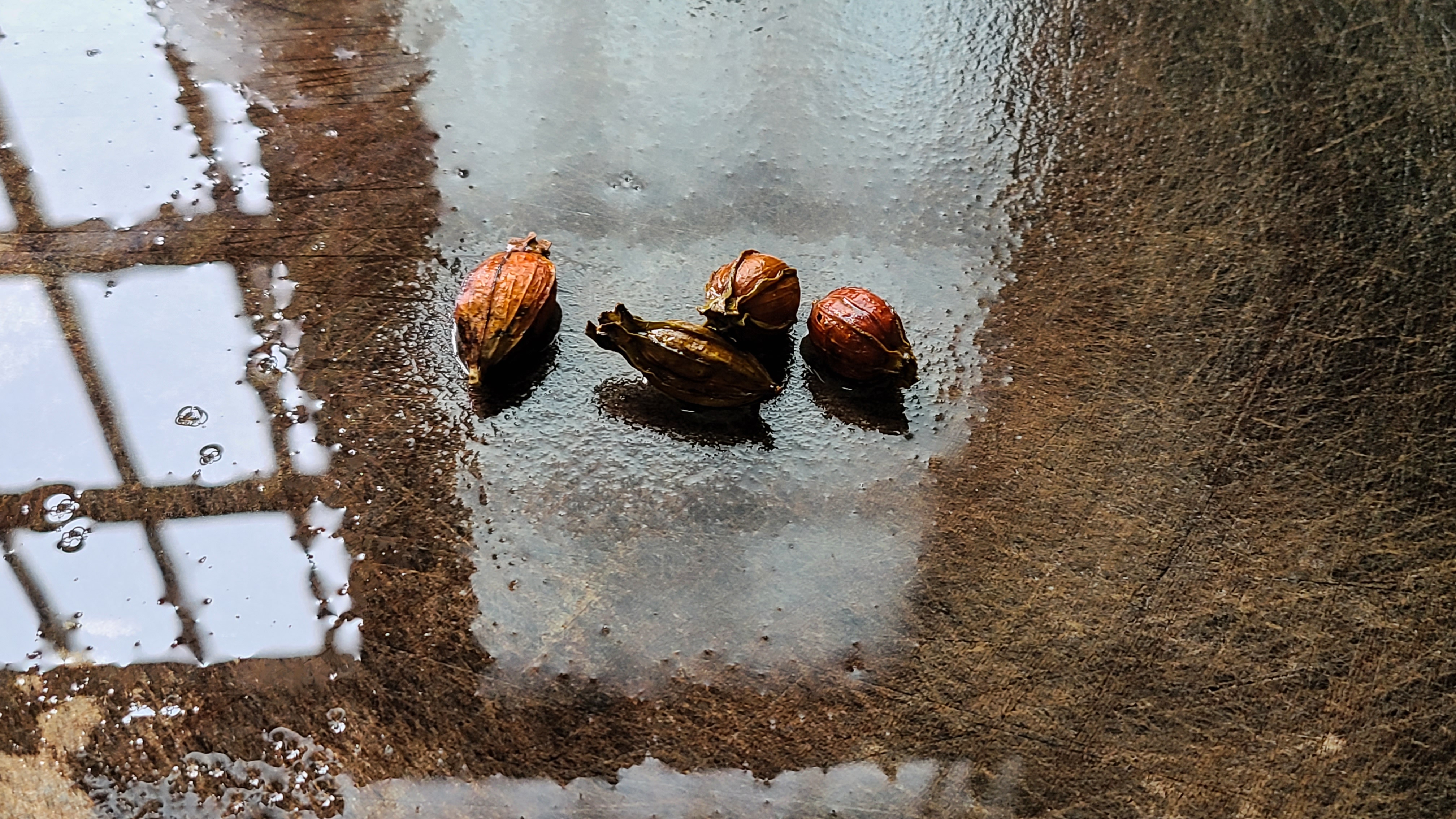 正宗咸香盐焗鸡翅,盐焗鸡翅咸香美味