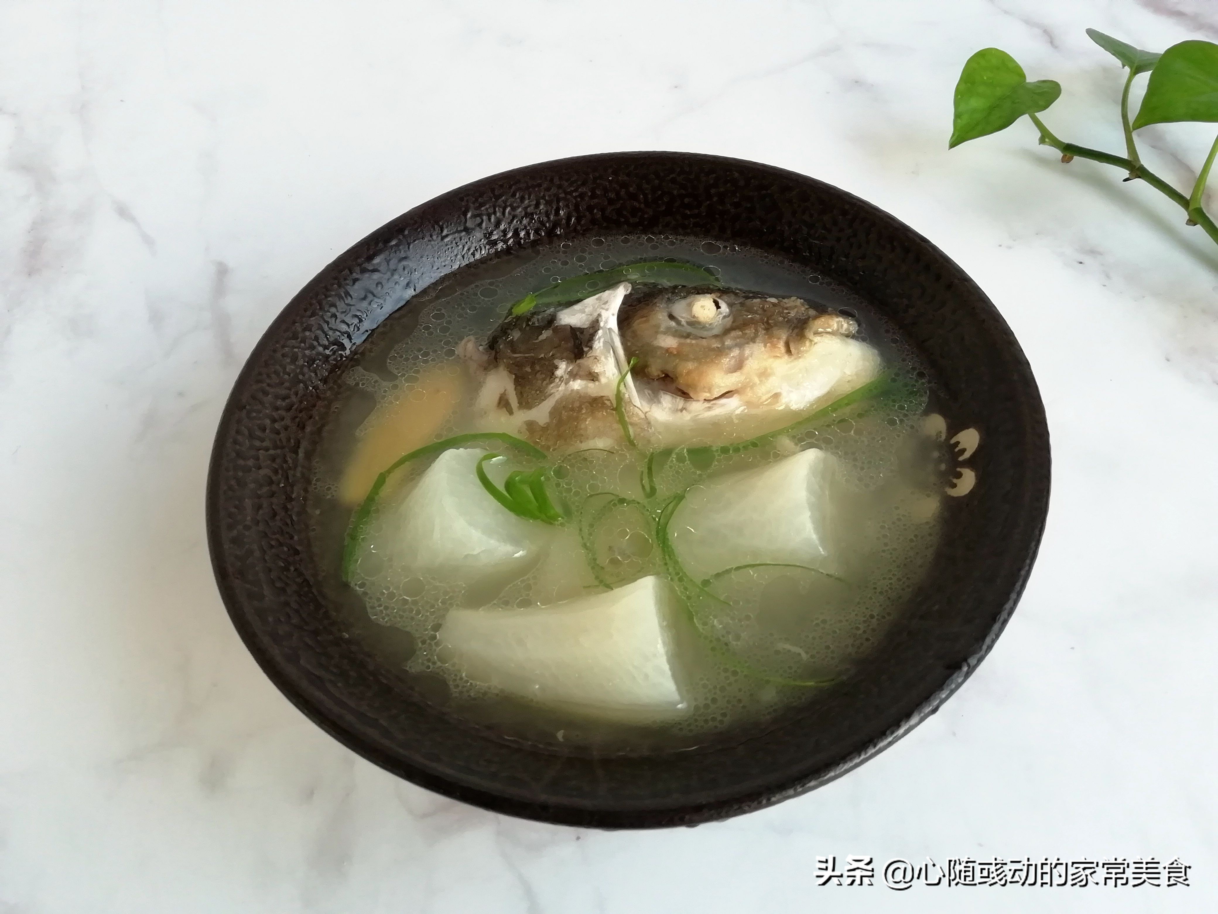 萝卜煮鱼头汤的正确做法,鱼头可以和萝卜一起炖吗