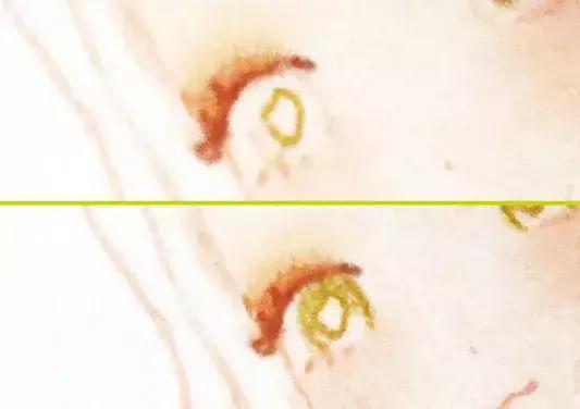 ps板绘插画如何上色步骤,零基础画画配色教程b站