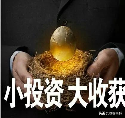 近20年最小投资换来的最大回报,历史投资回报