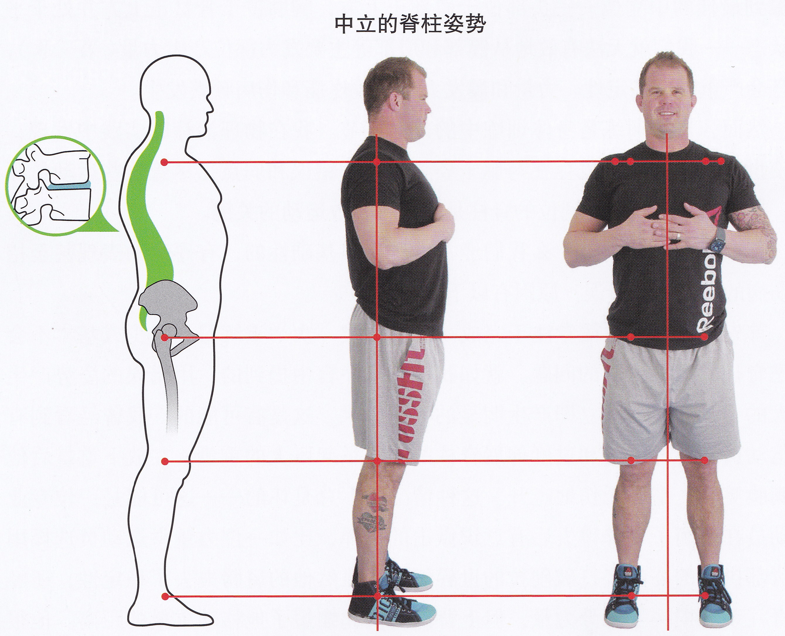 脊柱保持中立位是什么意思,脊柱中立位的标准动作