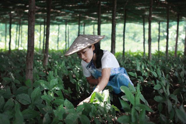 AIM优选|入围LOEWE罗意威基金会工艺奖的中国手艺人