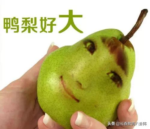 长春新区有多少所学校,长春新区教育好吗