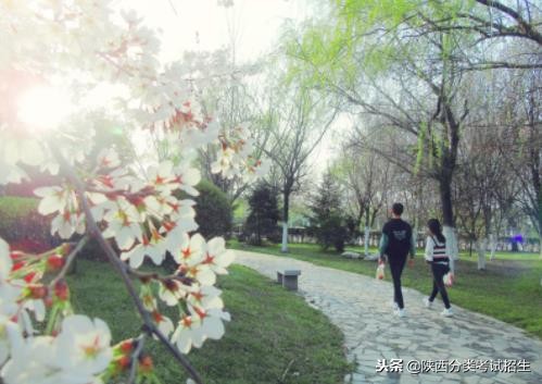 魅丽校园行之-陕西职业技术学院