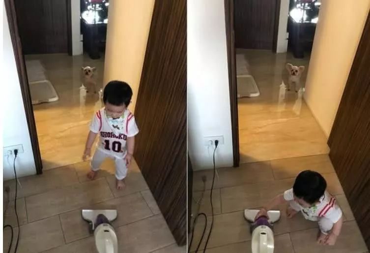 每天黏一起出现姐弟脸!约克夏撞脸小主人,连眯眯眼也同款