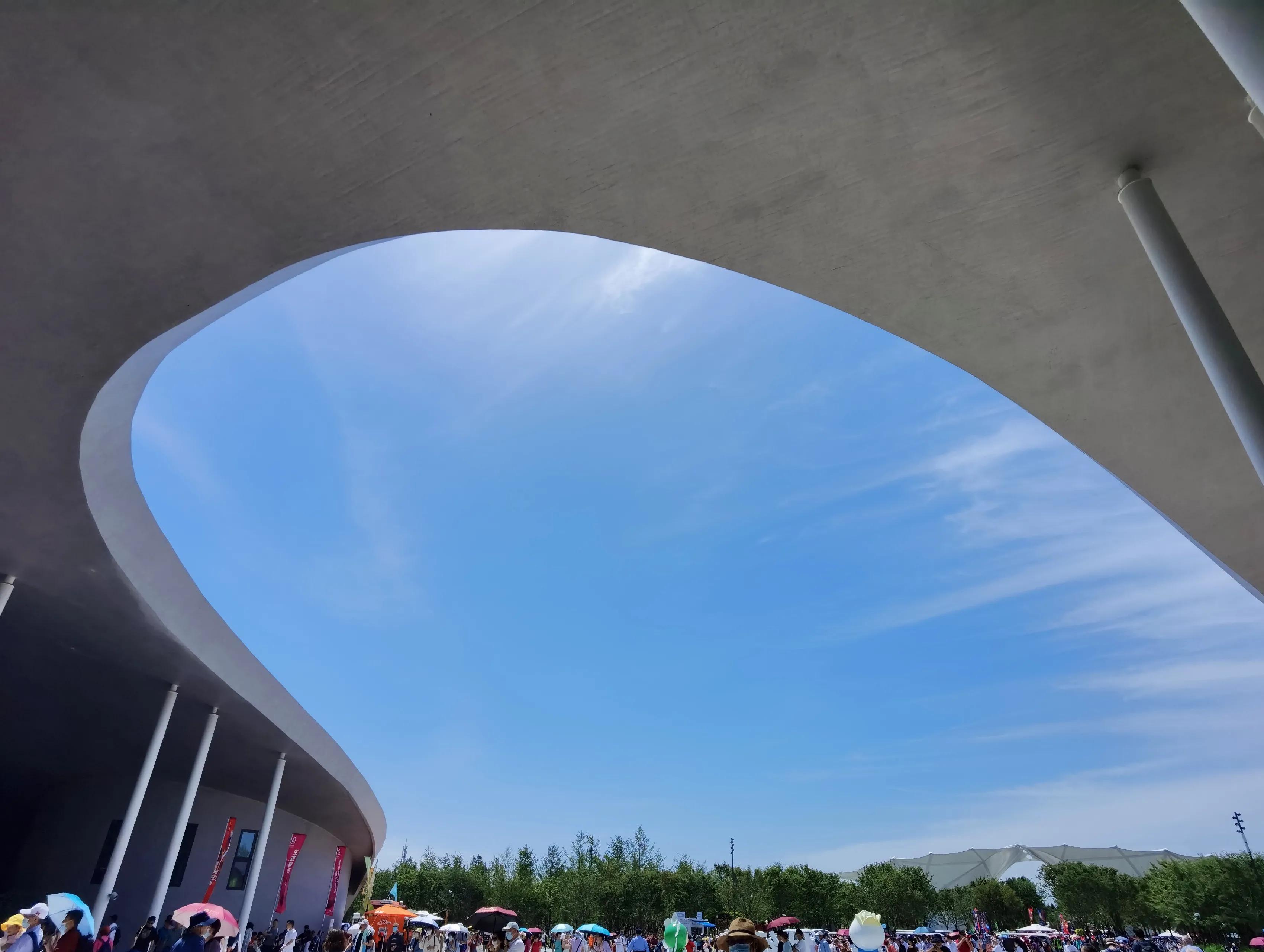 关于崇明花博会,崇明花博会全程花景