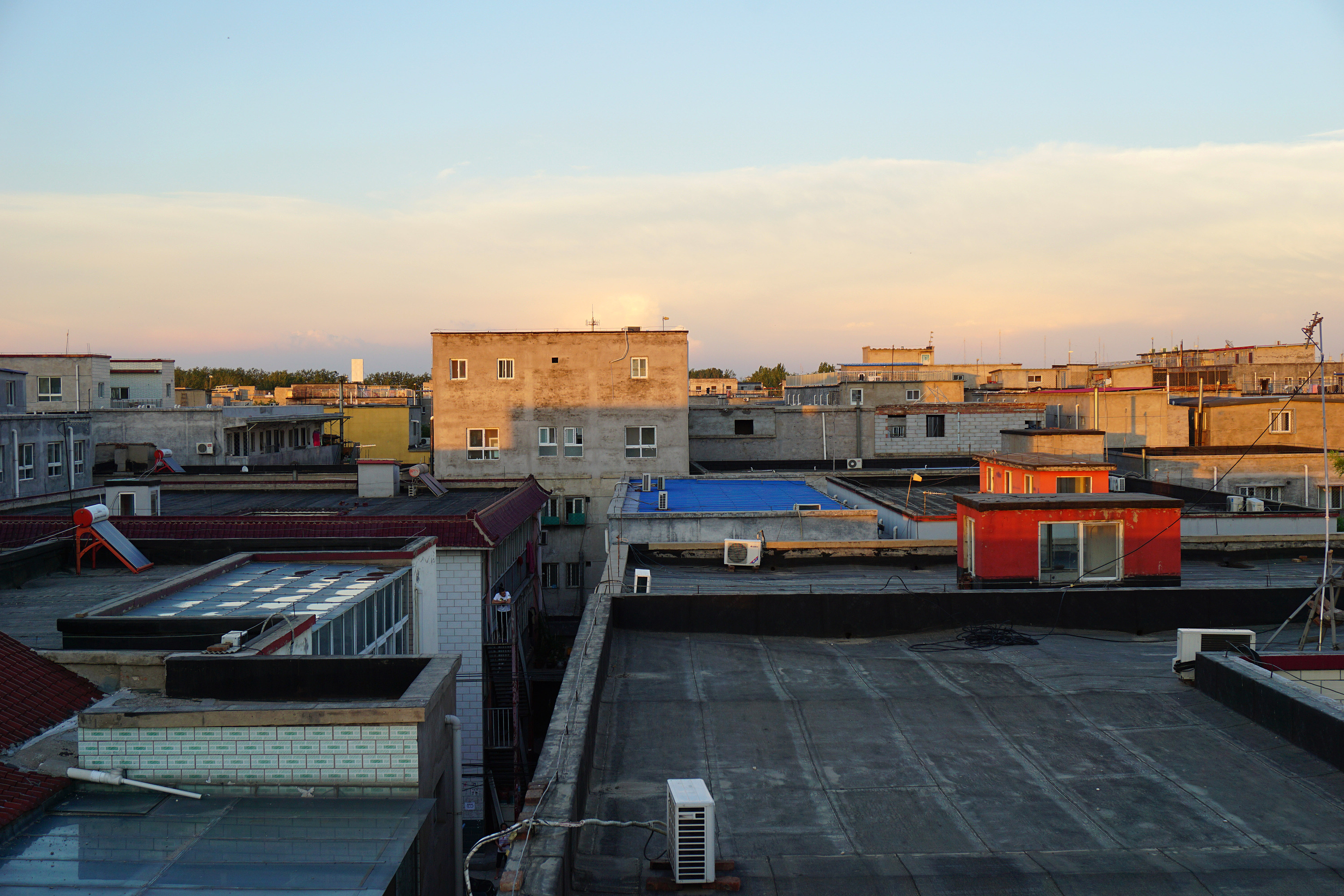 丧尸真来了该怎么办,丧尸来了该怎么办