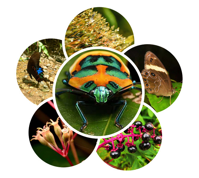 实干是什么意思,实干才是真谛