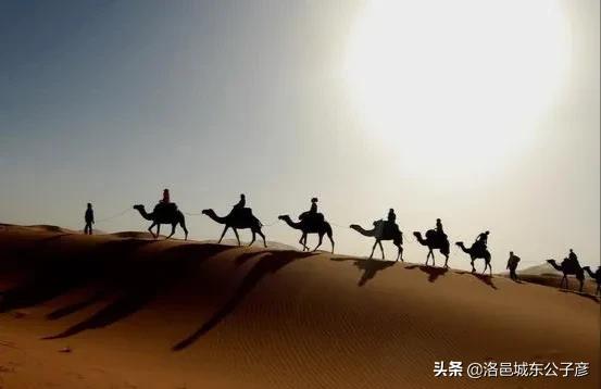 看了这个国家的天价蔬菜，你还会感觉国内的生活压力大吗？