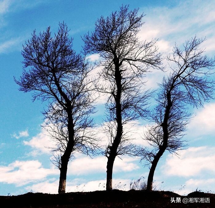 三棵树三生石艺术漆价格,三棵树三生石艺术涂料