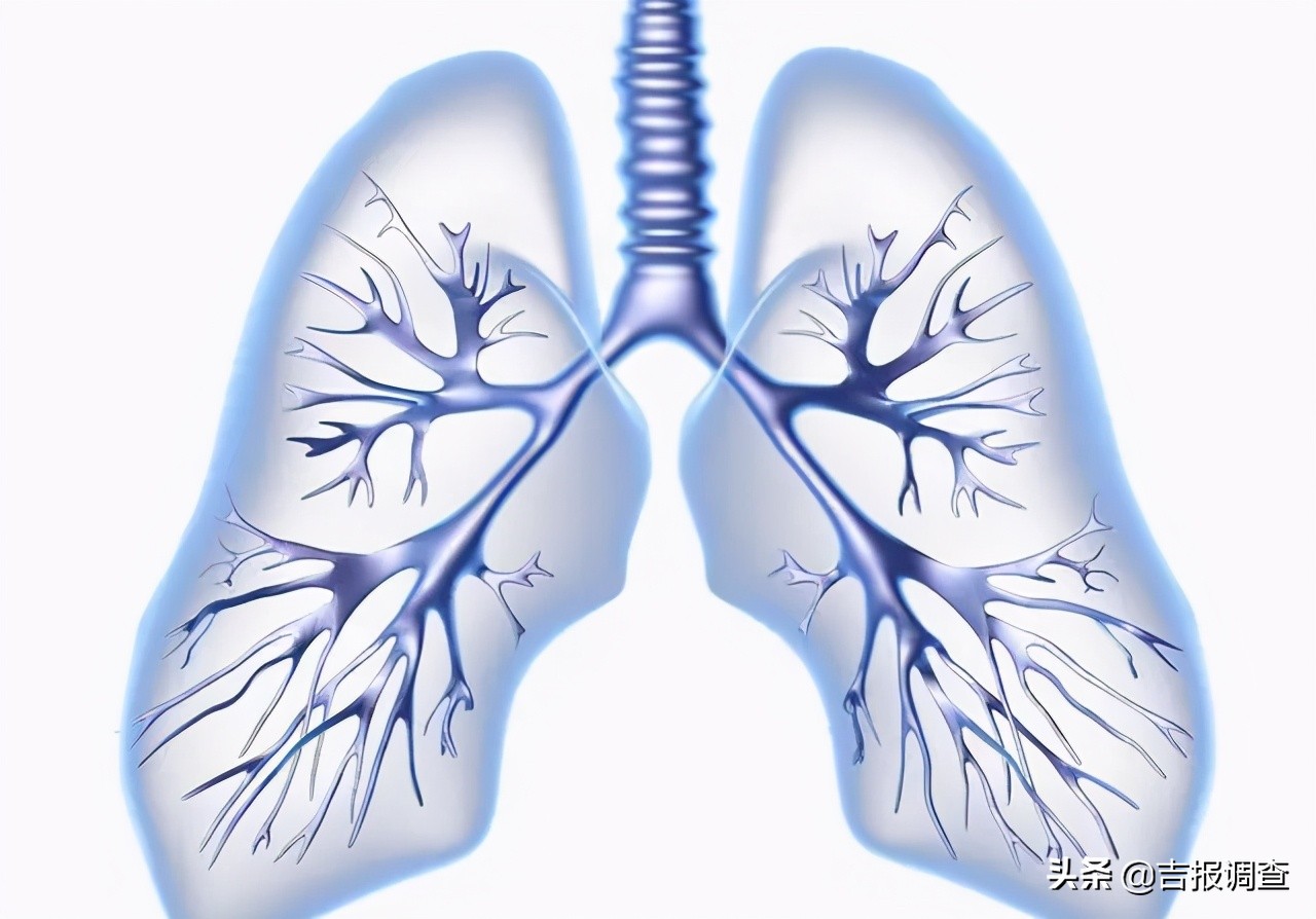 中医专家提醒：夏季是治疗肺病的最佳时机