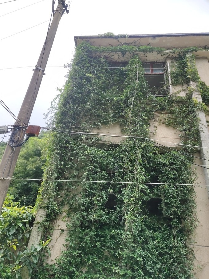 桃花岛游览区,舟山桃花岛旅游攻略自由行