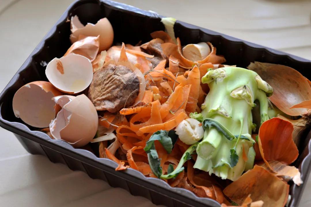 你买的厨余粉碎机，粉碎的只是你的钱包