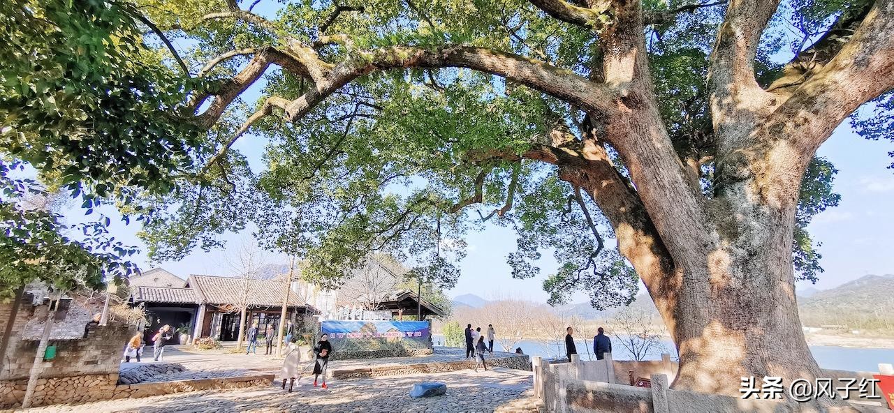 秀水丽水养生福地一日游,丽水有没有好玩的温泉