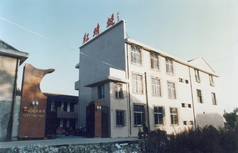 红蜻蜓鞋王钱金波,鞋王钱金波全集