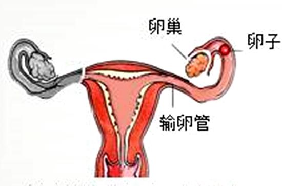 卵巢囊肿手术是把囊肿刺破吗,卵巢囊肿超过5cm需要什么治疗手段