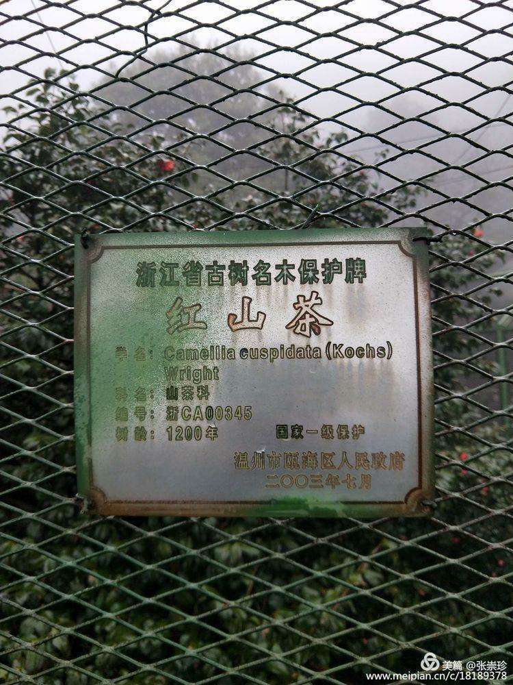 摩天石下再续罗山缘--6.16大罗山印记